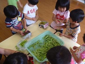テーブルを囲んでえんどう豆のさやむきに挑戦する園児たちの写真