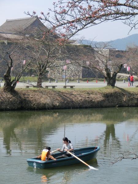 親子がボートを漕いでいるお堀の桜の下の写真