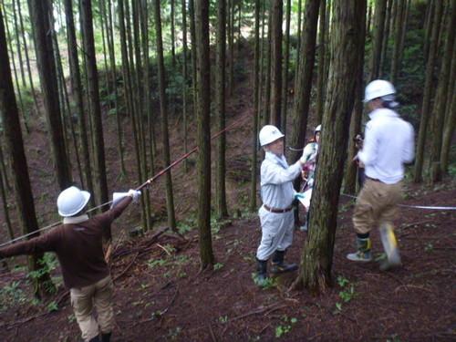ヒノキ林の調査地で測定を行う作業着姿の参加者達の写真