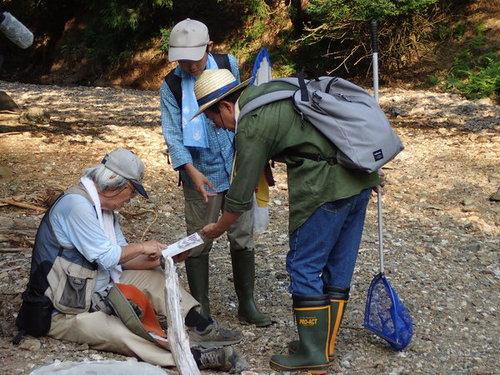 森の小道に大人3人が集まり図鑑を開き指差して観察した虫の種類等を確認している様子