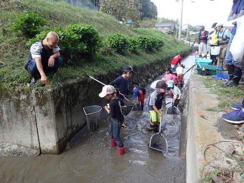 ため池とつながっている水路で長靴をはき、網で一生懸命生きものを探している子供たちとそれを見守る大人たちの写真