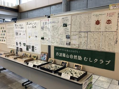標本や昆虫についての資料が展示されている「丹波篠山自然塾 むしクラブ」の展示コーナー写真