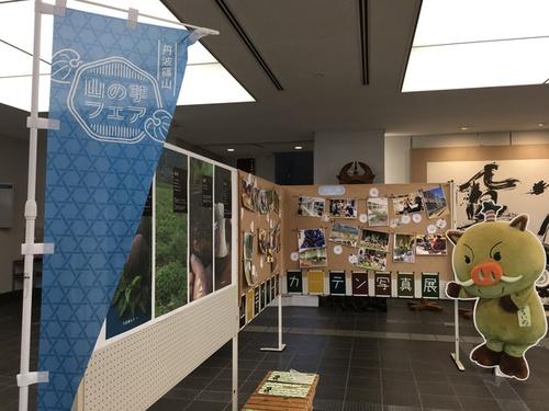 篠山市役所1階ロビーで山の芋グリーンカーテン写真展を展示している写真1
