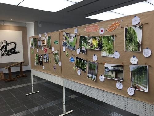 篠山市役所1階ロビーで山の芋グリーンカーテン写真展を展示している写真2
