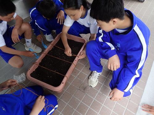 今田中学校の生徒たちが植木鉢に縄を結び付けている様子の写真