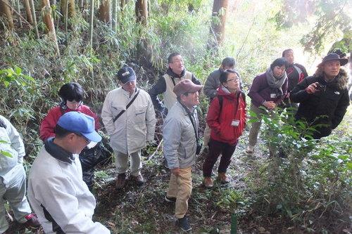 体験プログラム「矢代地区での獣害対策見学」で竹林のある山道で説明を聞きながら頭上を見上げている参加者達の写真
