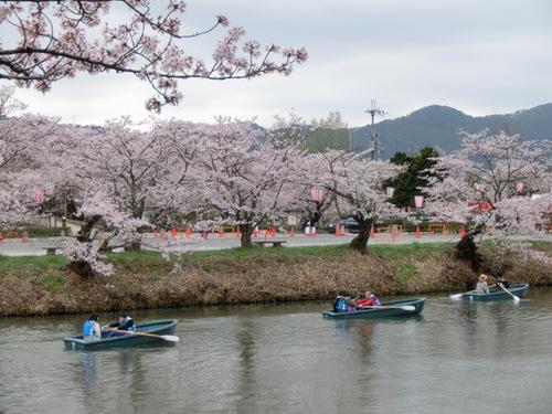 曇り空の篠山城跡の桜の下でボートを楽しむ人達の写真