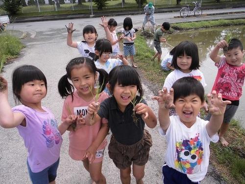 数人子どもたちが稲を手にもって嬉しそうに見せている写真