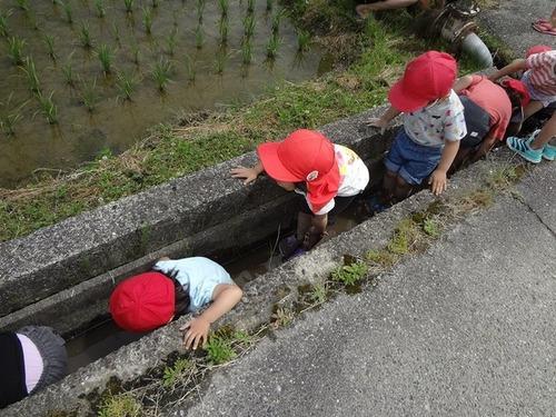 からだの幅ほどの水路に入りかがんで足を洗う子供たちの写真