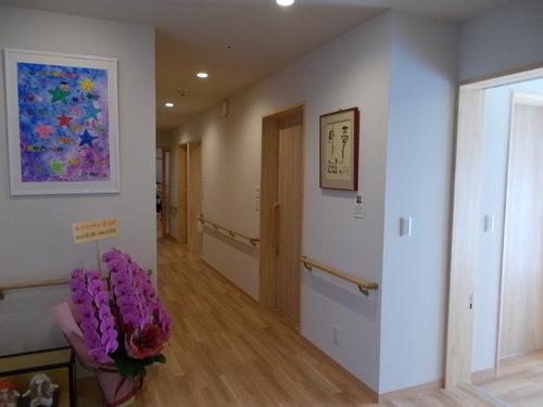 ピンク色の胡蝶蘭とカラフルな星の絵画が飾られているななつ星の廊下の写真