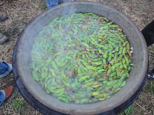 収穫した色濃い緑色の枝豆を大きな鍋でぐつぐつと茹でている様子の写真