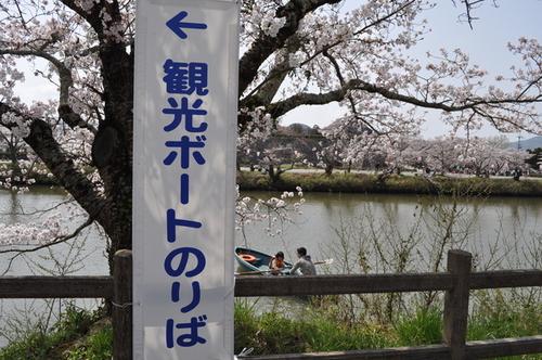 篠山城跡北堀観光ボート乗り場の案内板と桜の咲く中ボートを漕いでいる親子の写真