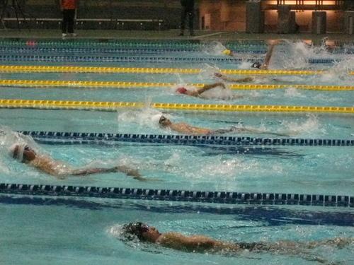 選手が背泳ぎで競泳している写真