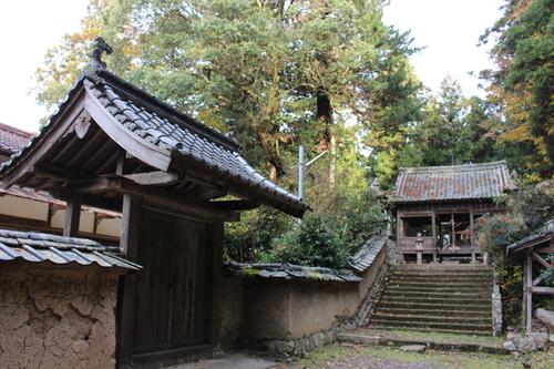 苔の生えた階段があり緑に囲まれた春日神社の写真