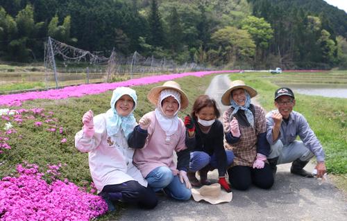 田んぼのあぜ道わきに植えられた鮮やかなピンク色のシバザクラと倉本の自治会の皆さんの写真