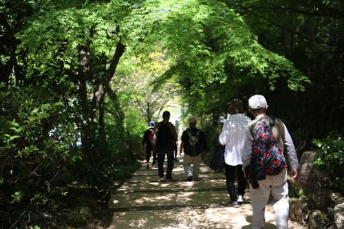 新緑の木々から降り注ぐ木漏れ日の中、石でできた道を歩くイベント参加者の皆さんの写真
