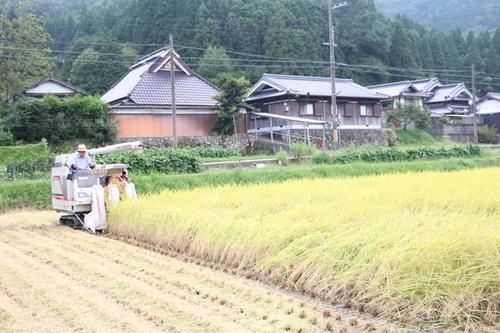 コンバインに乗った人が田んぼで稲刈りをしている写真