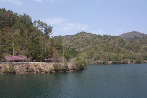 藤岡ダムの水面と、そのまわりの木が生い茂った山々の一部を写した写真