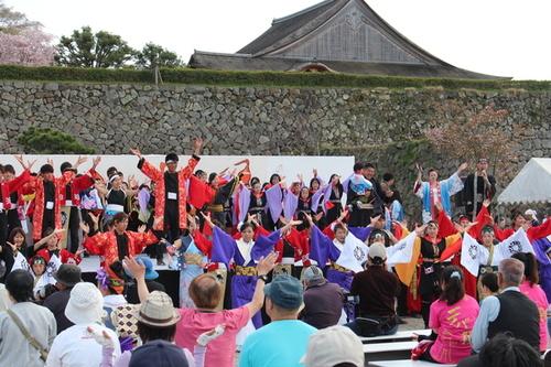 篠山城跡三の丸広場の石垣を背景に赤や紫の衣装を身にまとい両手を広げ演舞を行う参加者達の写真