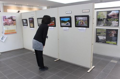 市役所に展示されている作品を観ている人の写真