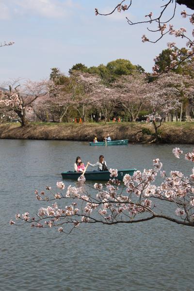 女性二人と子供がボートに乗りながら篠山城跡の桜の花見をしている写真