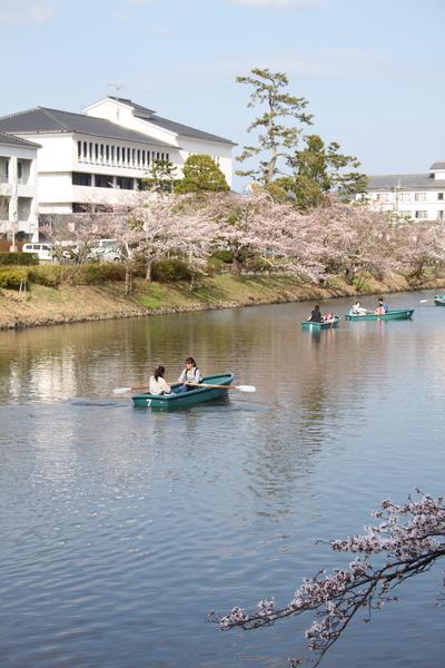 二人の女性がボートに乗りながら篠山城跡の桜の花見をしている風景の写真
