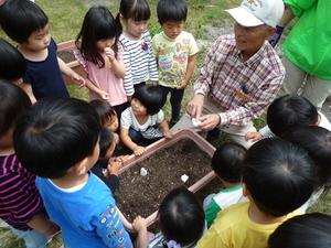 今田保育園の子供たちが植木鉢の前で説明員の話を聞いている様子の写真