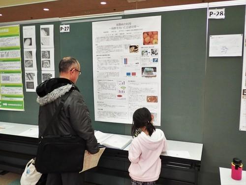 題材「放置柿の活用」（篠山東雲高校自然科学部実験班）の発表の様子の写真