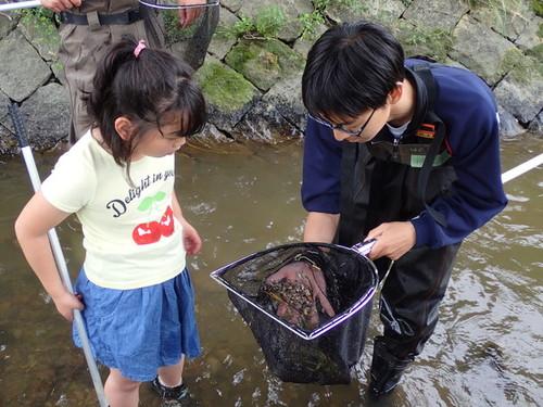 すくった網の中身を片手で持ち上げる篠山東雲高校2年生のお兄さんと興味深そうにのぞき込む女子児童の写真