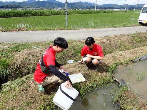 赤い服を着た男女二人が田んぼの水から採取をしている様子の写真