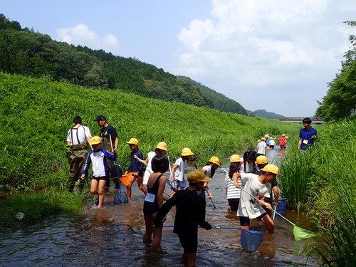 青空と緑が広がる自然の中で小川に入って網を手に生きもの調査をする生徒達の写真