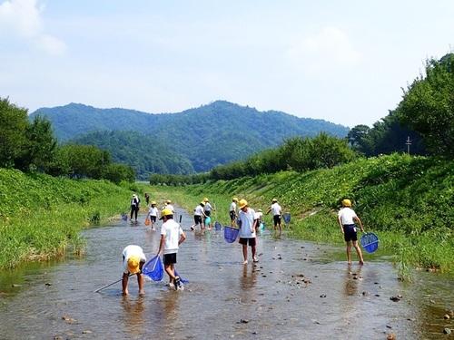 畑川にいっぱいに広がってタモ網をつかって水生生物を捕まえている小学生たちの写真