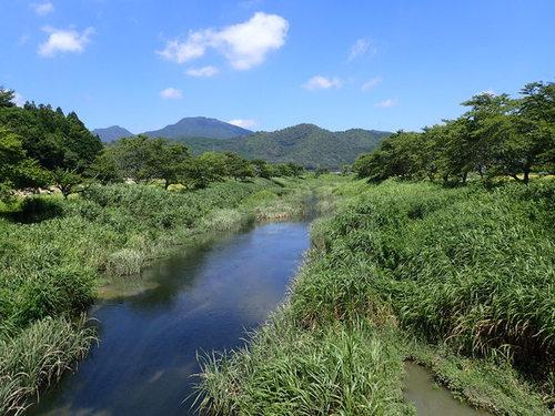 両脇に草木が茂り遠景に山々が見える武庫川の写真
