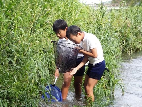 川に入り、水際の草の根元を網ですくって生き物がいるかどうか覗き込んでいる2人の男子小学生の写真