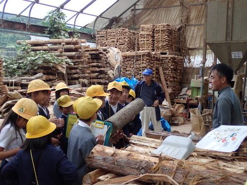 木製ペレットや材料の木材が高く積み上げられた工場の中で、生徒たちが木材を見たり触ったりしている写真