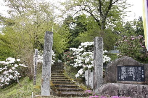 石碑脇の石段の左右にかかるように咲く白いシャクナゲの花の写真