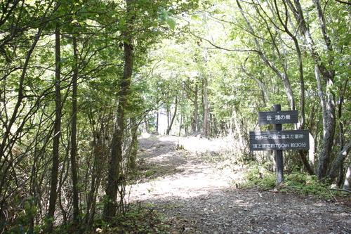 木々に囲まれた土の地面の登山道に設置された伝 鴻の巣と書かれた看板の写真