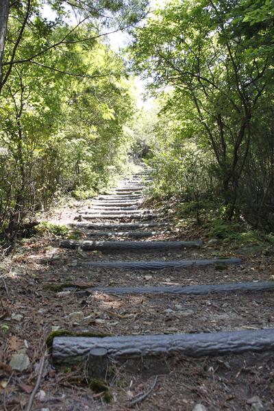 土の地面に丸太で作られた階段が緩やかな傾斜で設置された登山道の様子の写真