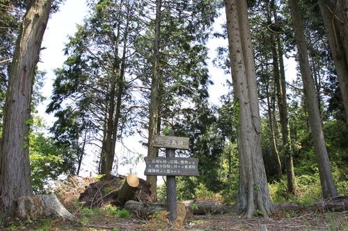 間伐された木々が横たわる場所にある背の高い木々の根元にひっそりと設置された三の丸跡の看板の写真