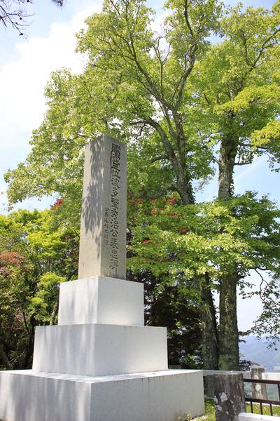 山頂の一本の背の高い木の根元に4段で形成された大きな波多野秀治公の碑の写真