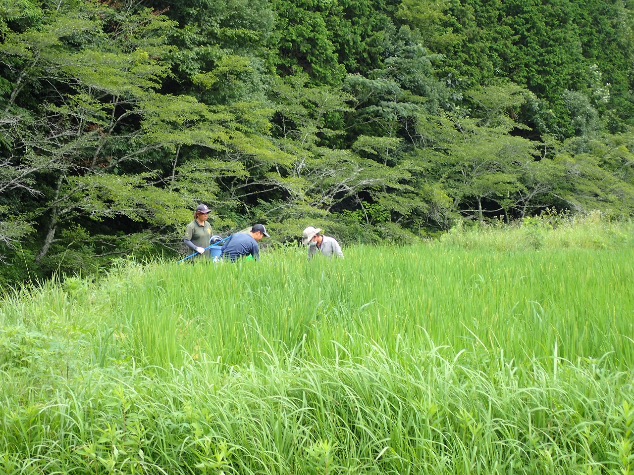 農場で、バケツと網を持って生き物の調査をしている