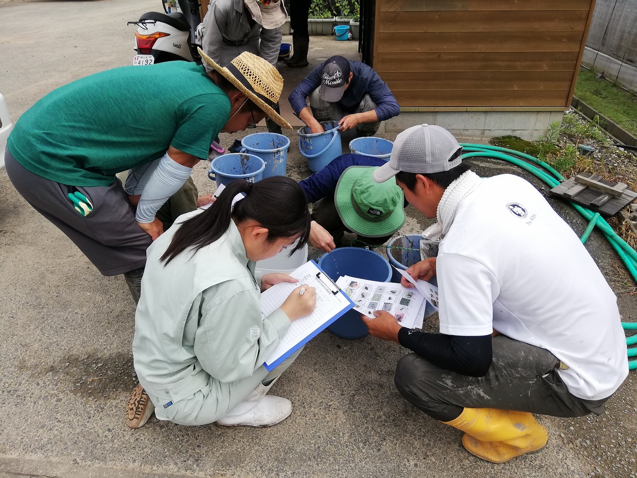 採取した生き物をバケツに入れて、観察しながらレポートを作成している