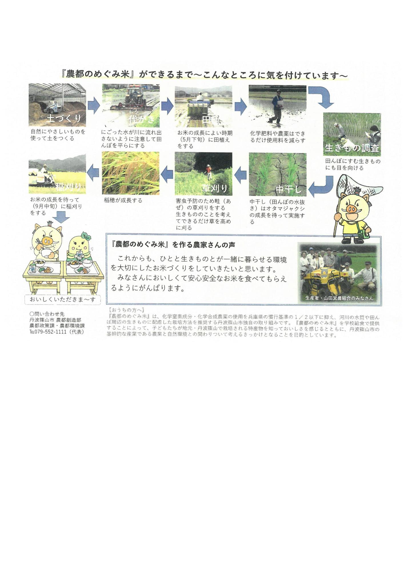 農都のめぐみ米ができあがるまでの説明チラシ