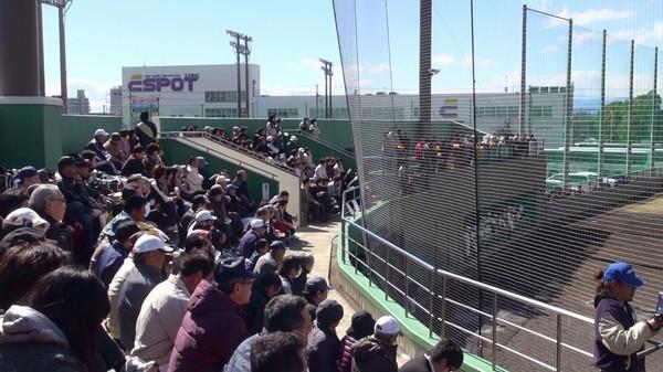 グランドで沢山の方が野球を観戦している写真