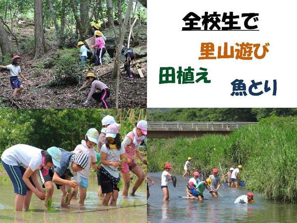 全校で里山遊び、田植え、魚とりを楽しむ小学生の写真