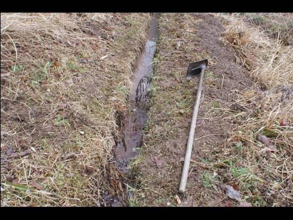 カスミサンショウウオの産卵場所の写真