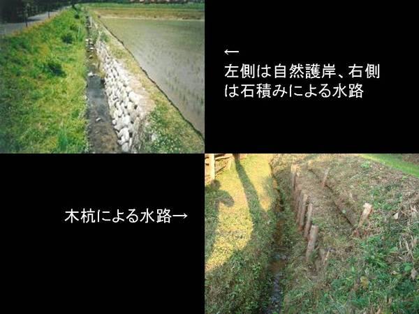 左側は自然護岸、右側は石積みによる水路の写真と木杭による水路の写真