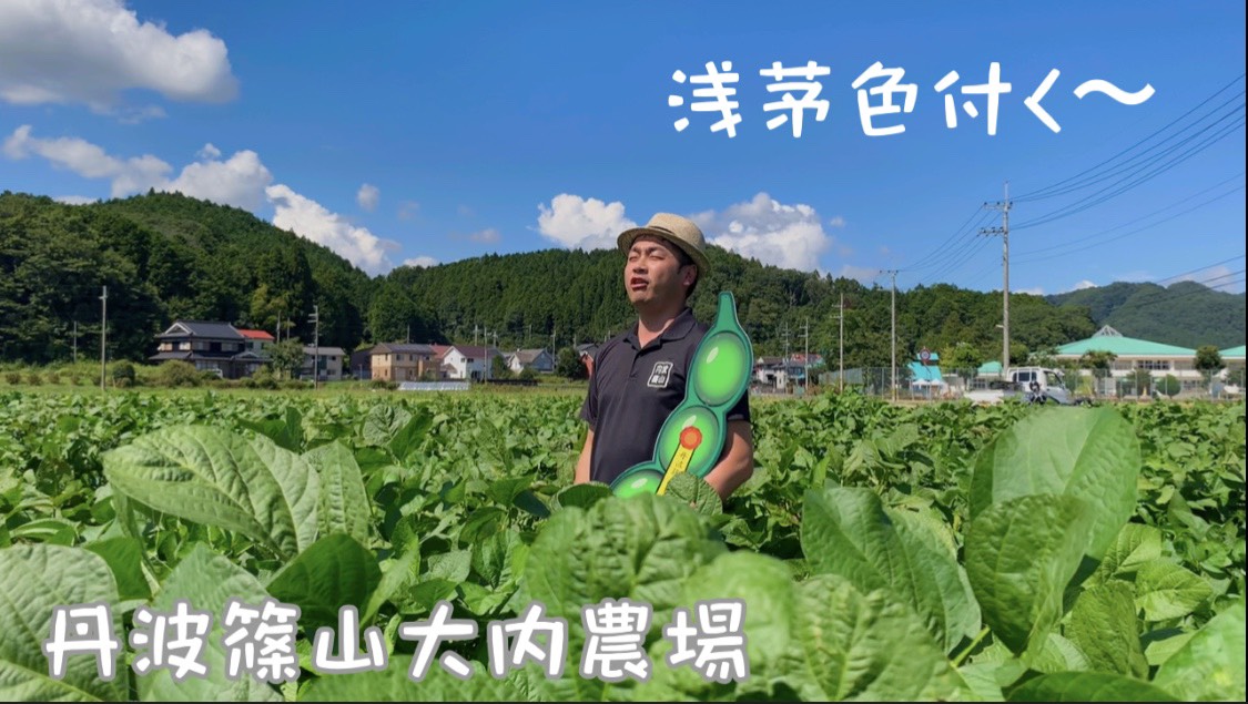 農家の方が黒豆畑で万葉集を朗唱している