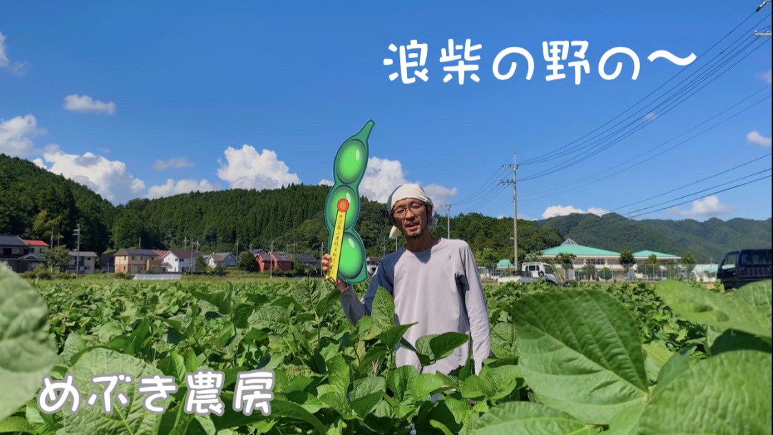 農家の方が黒豆畑で万葉集を朗唱している