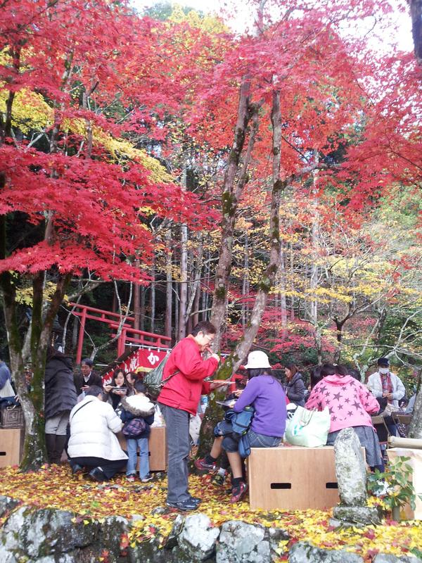 もみじまつりにて、紅葉の下で、食事をされている写真